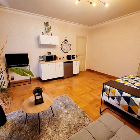 Superbe Appartement Calme Et Spacieux Graulhet Bagian luar foto